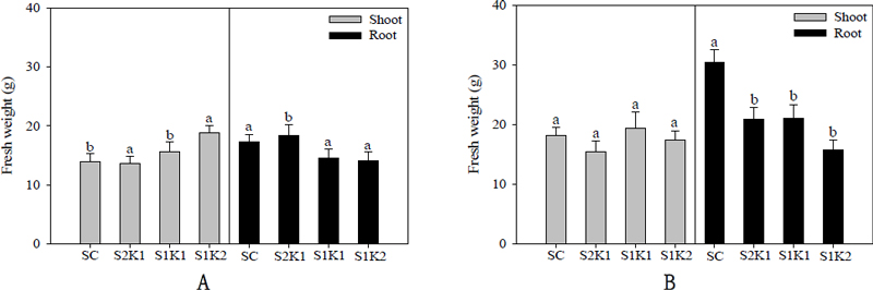 Fig. 9.