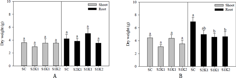 Fig. 10.