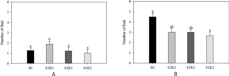 Fig. 11.