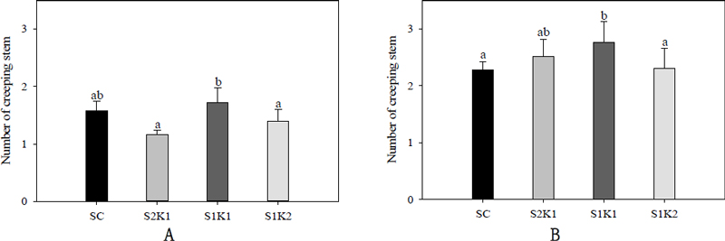 Fig. 12.