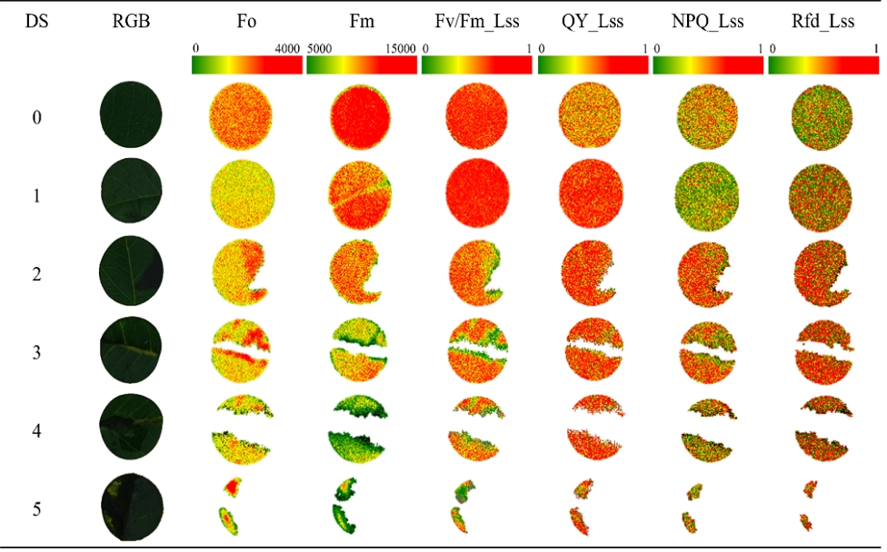 Fig. 2.