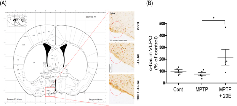 Fig. 4.