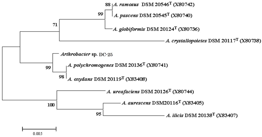 Fig. 1. Fig. 1.