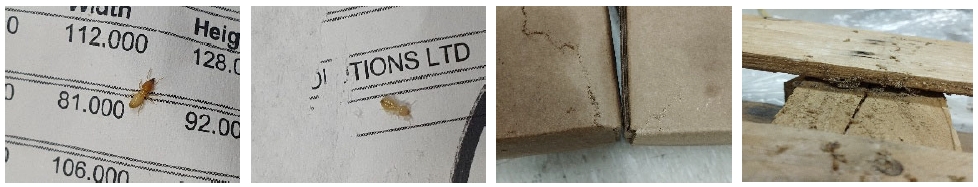 Fig. 3. Fig. 3.