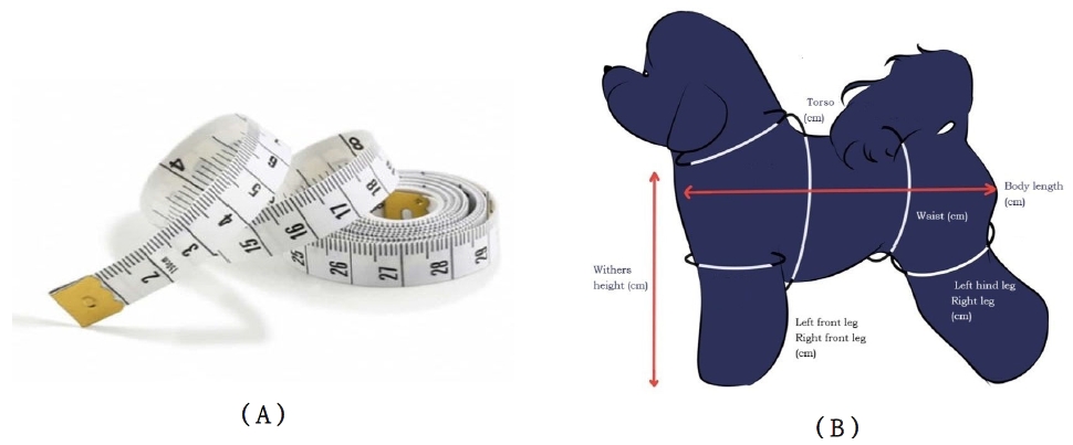 Fig. 1. Fig. 1.