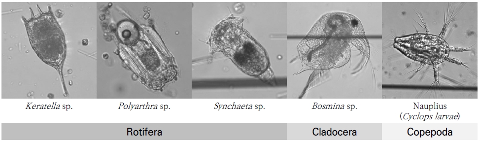 Fig. 5.