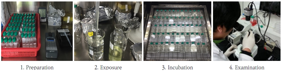 Fig. 2. Fig. 2.