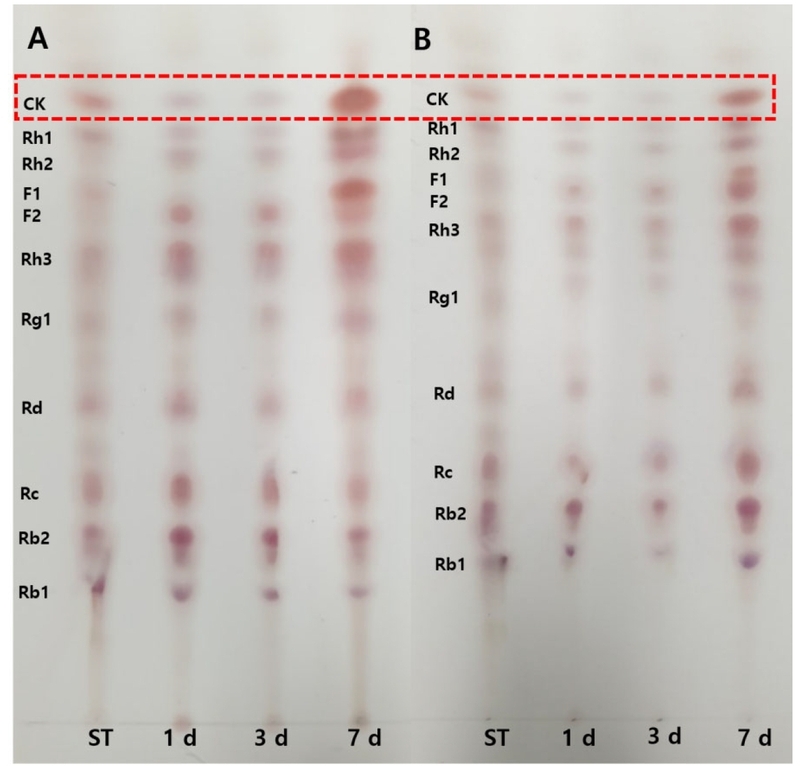 Fig. 8.