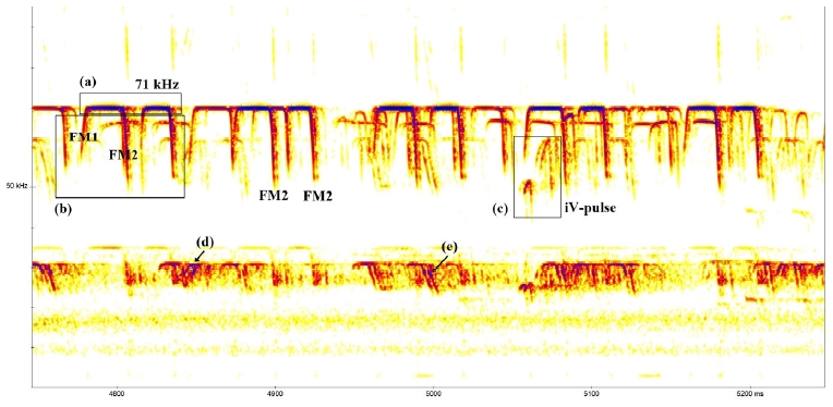 Fig. 9.