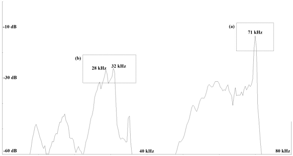 Fig. 10. Fig. 10.