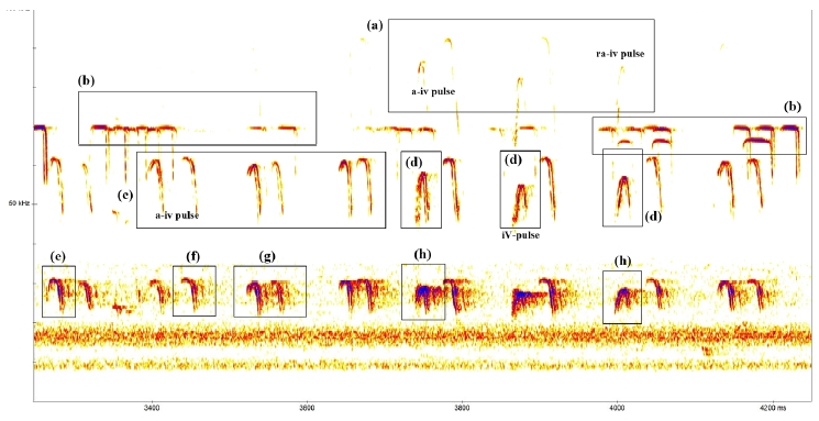 Fig. 11.