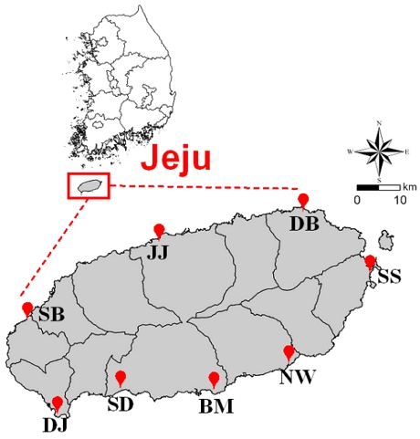 Fig. 1. Fig. 1.
