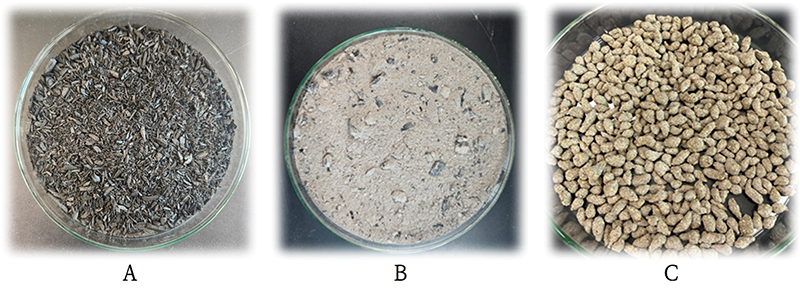 Fig. 1. Fig. 1.